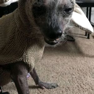 Meet your Posher, Brent